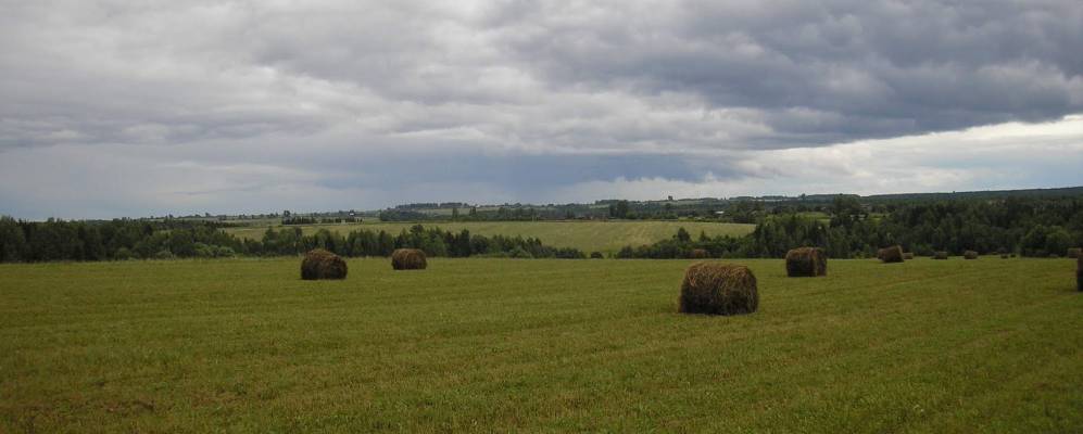 Фотография Марково