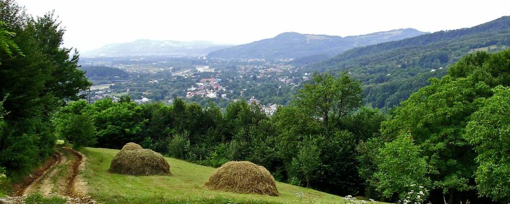 
            Фотография Ольховчика