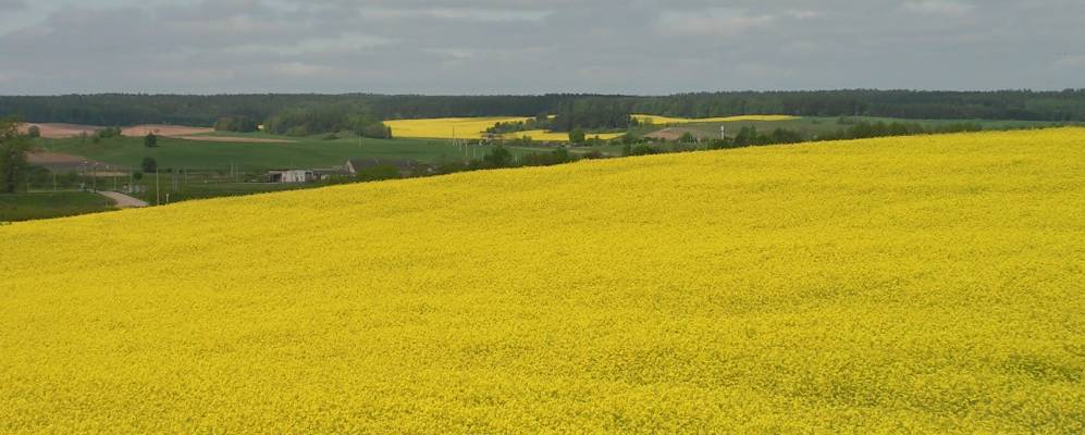 Фотография деревни Колонтаи
