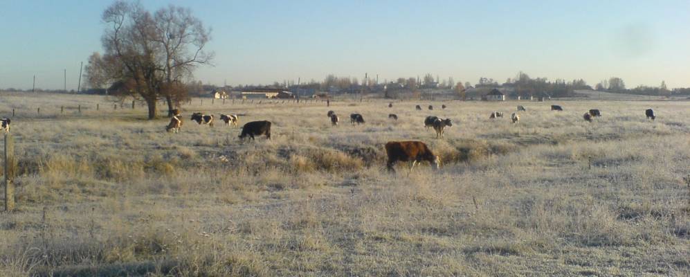 
            Фотография Михайловки