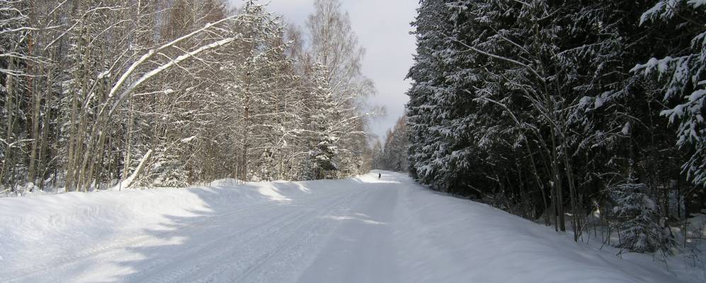 
            Фотография Большого Скородно