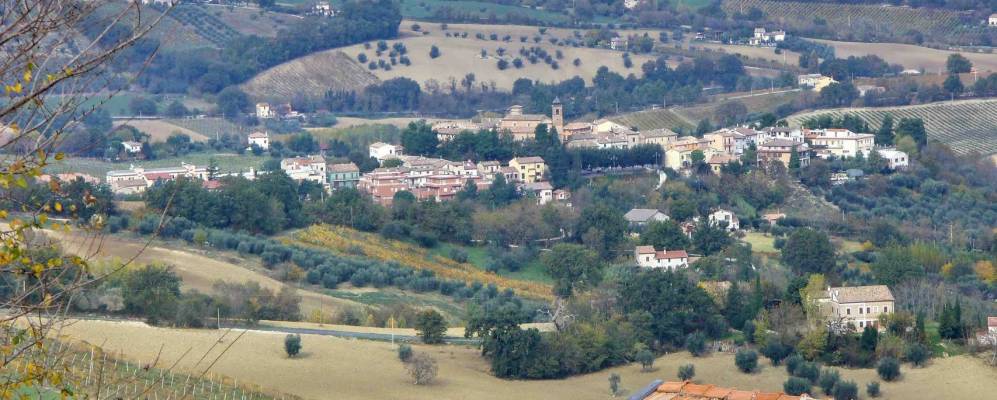 
            Фотография Стаффоло