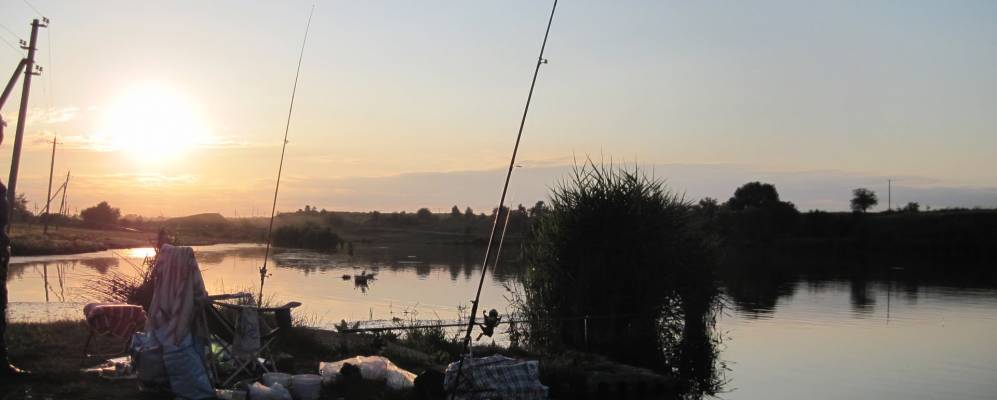 
            Фотография Саратовского