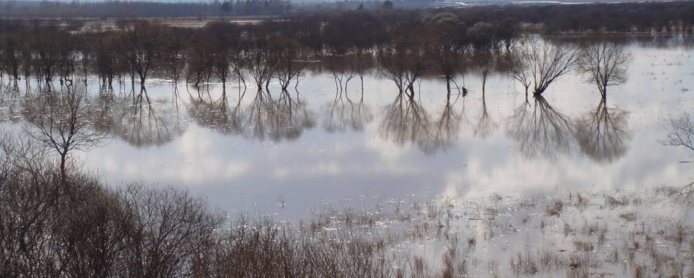 
            Фотография Васильевки