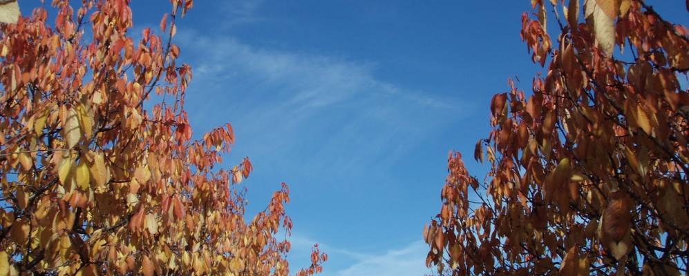 
            Фотография Лхеницы