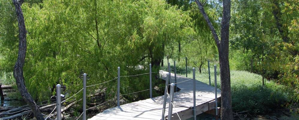 
            Фотография Фэрвью