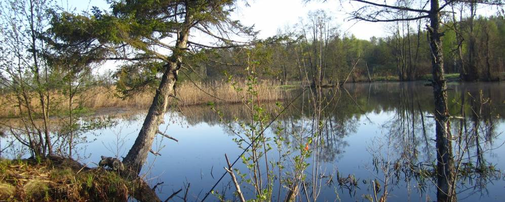 Фотография деревни Дразы