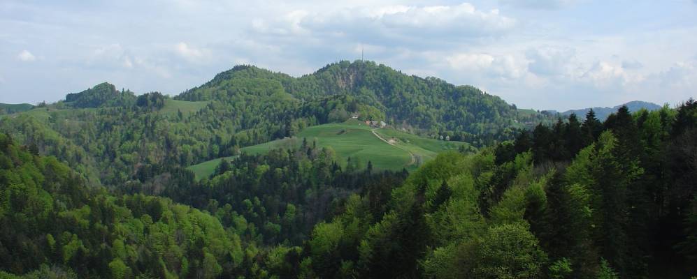 
            Фотография Штерненберг