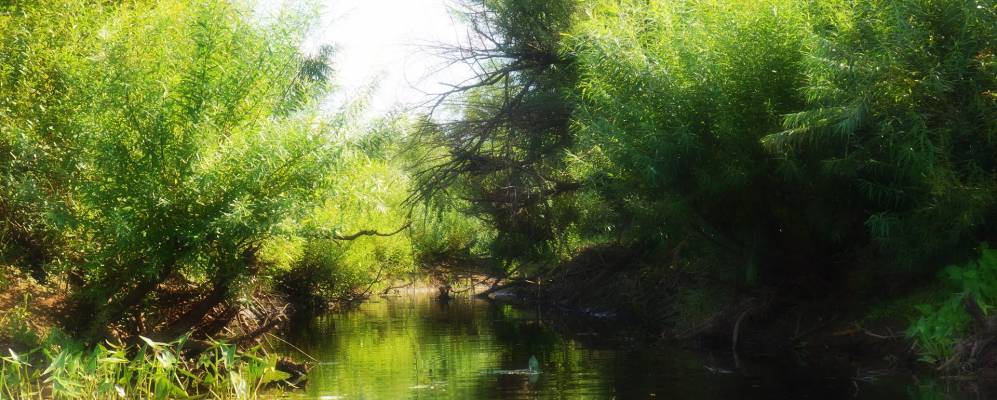 
            Фотография деревни Селечки