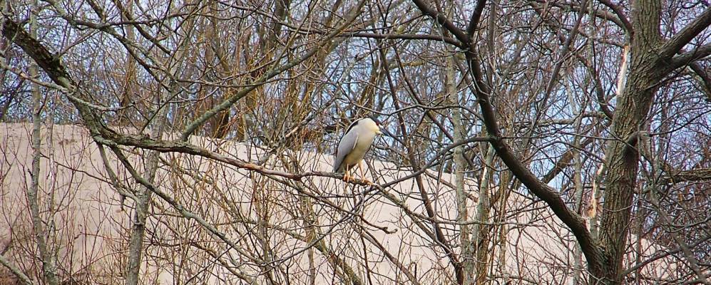 
            Фотография Анголы