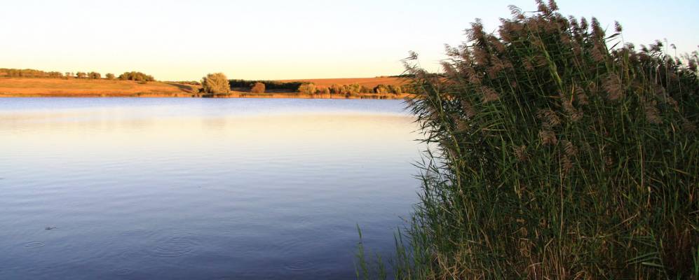 
            Фотография Чепиговки