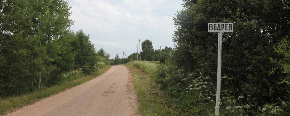 Фотография Выдрия