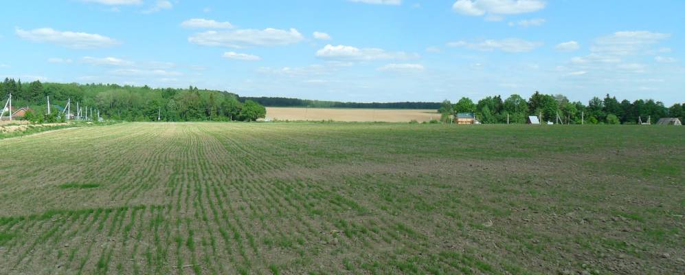 
            Фотография Папушево