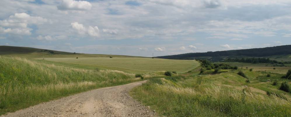 
            Фотография Погорельцы