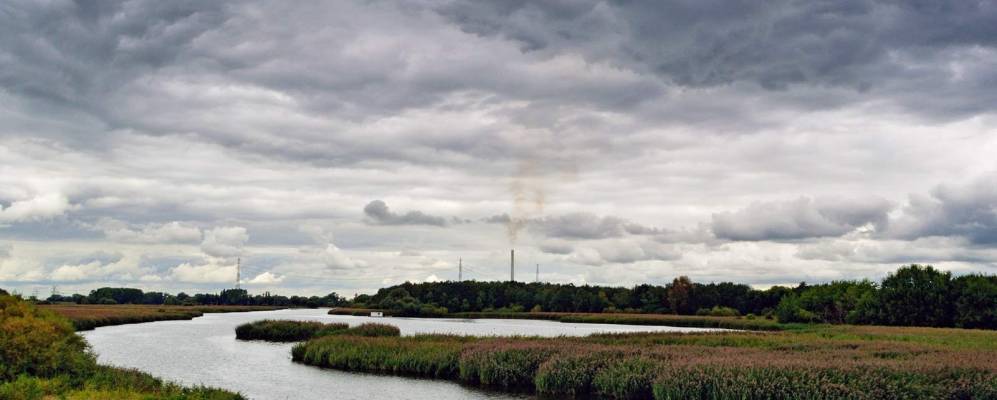 
            Фотография Berne