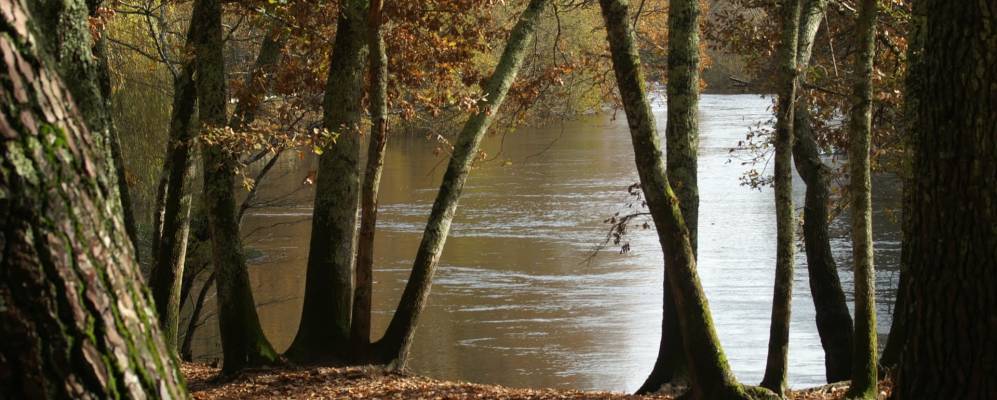 
            Фотография Мио