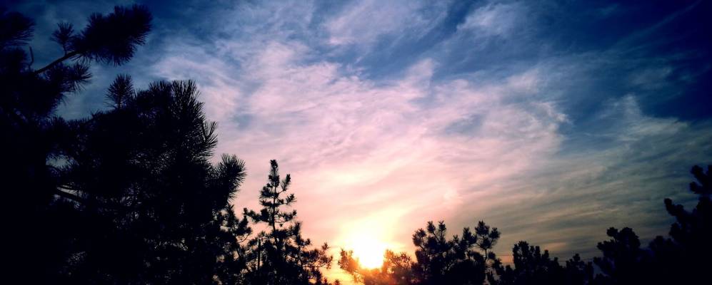 
            Фотография Ингуловки