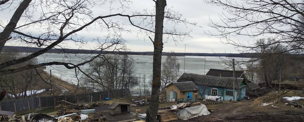 
            Фотография Брыни