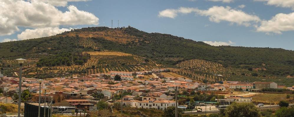 Фотография Алиседы