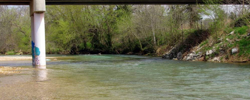 
            Фотография Андерсона