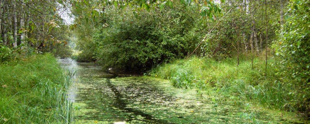 Фотография Катюрево