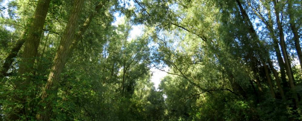 
            Фотография Сэнгин-ан-Вепа