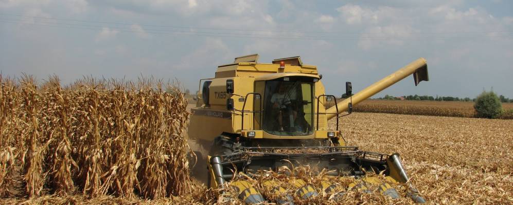 
            Фотография Вескованы