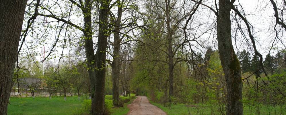 
            Фотография Павлиново