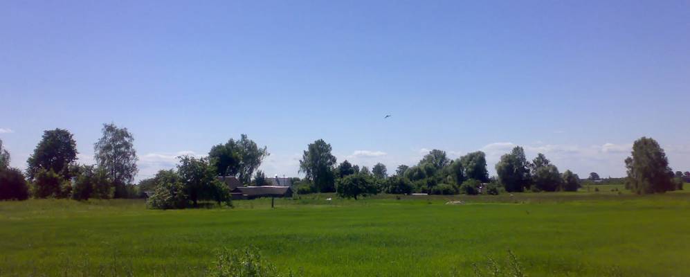 
            Фотография Захвата