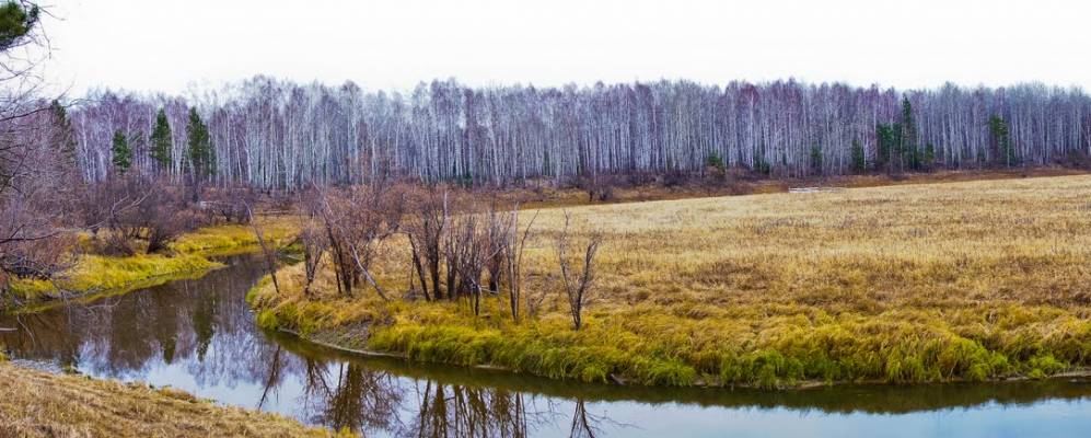 
            Фотография Второсалинской