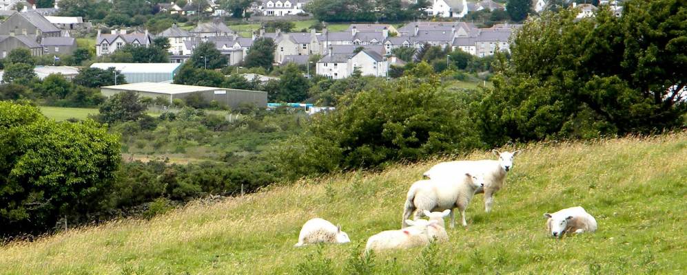 
            Фотография Амлвча