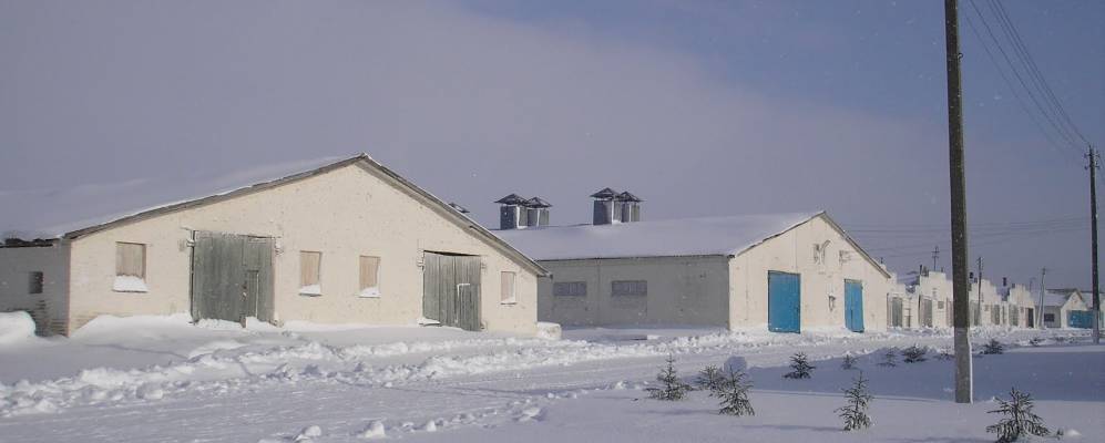 Фотография Янополья