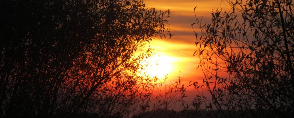 
            Фотография Осовцы