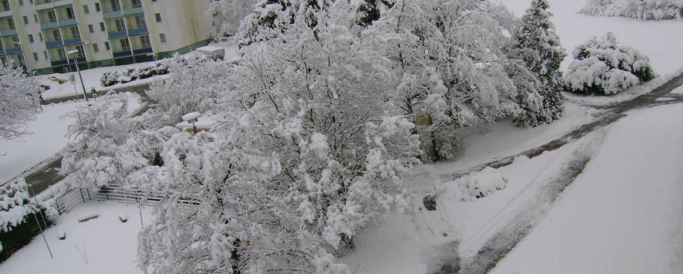 
            Фотография Нойхауза