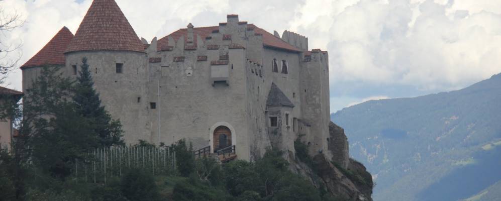 
            Фотография Натурно