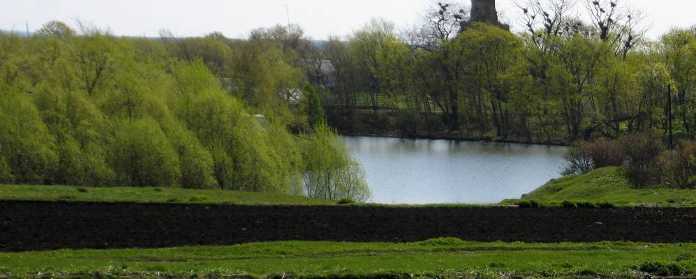 
            Фотография Еропкино