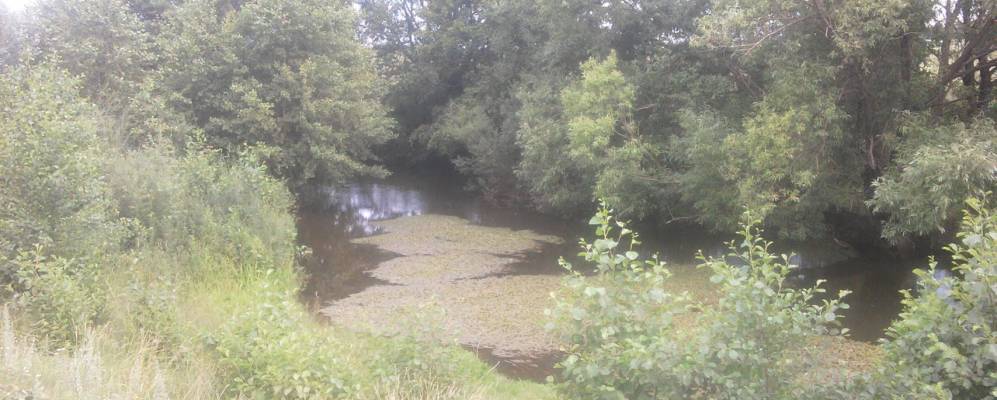 Фотография Петровки