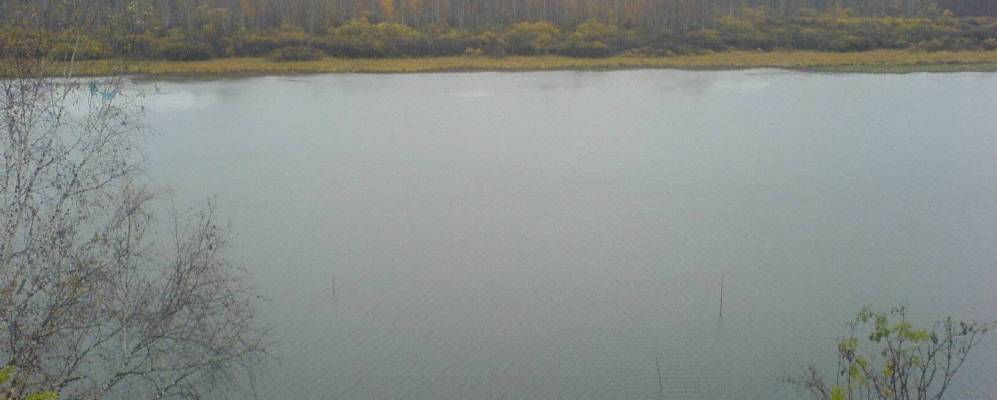 
            Фотография Отрадного (Охотничьего)