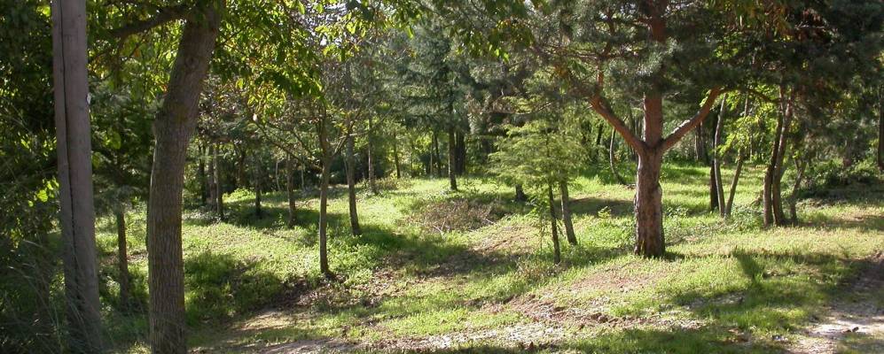 
            Фотография Сервильяно