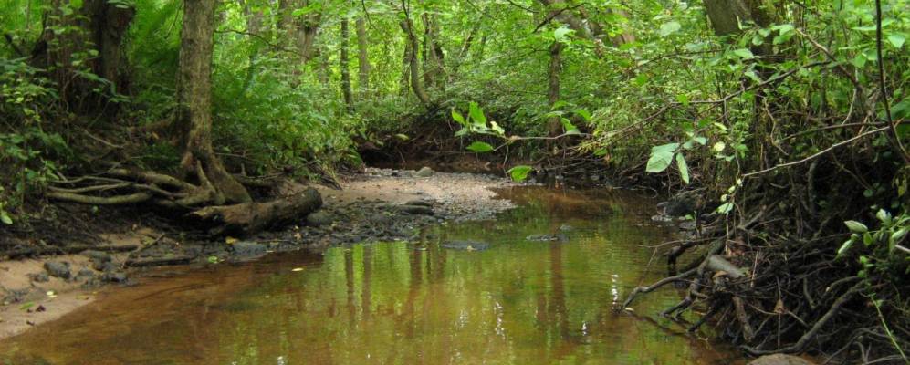 
            Фотография Яблоницы