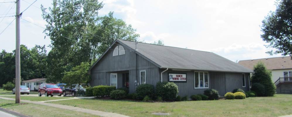 
            Фотография Альбиона