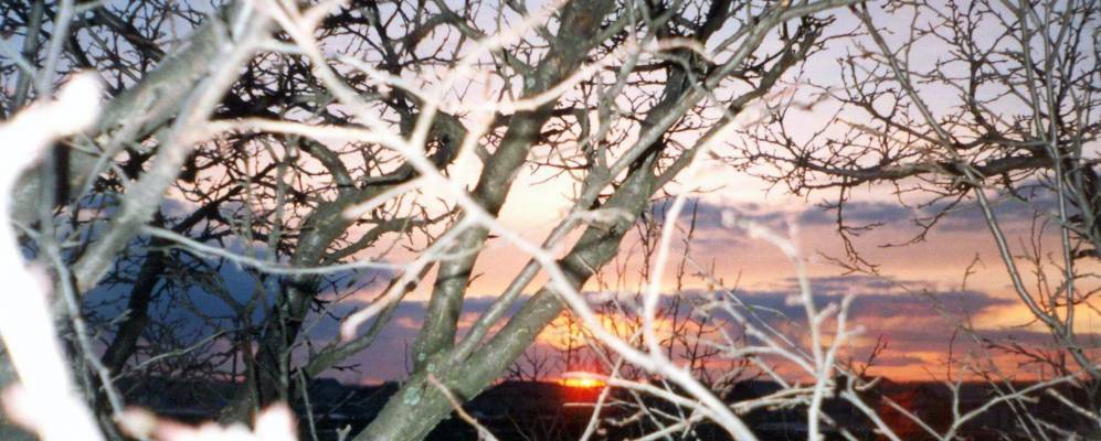 
            Фотография Волкодава