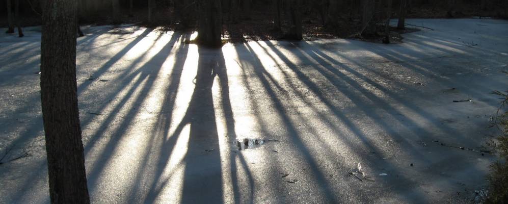 
            Фотография Эстелл Манора