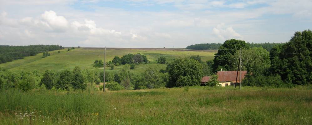 
            Фотография Мокрого