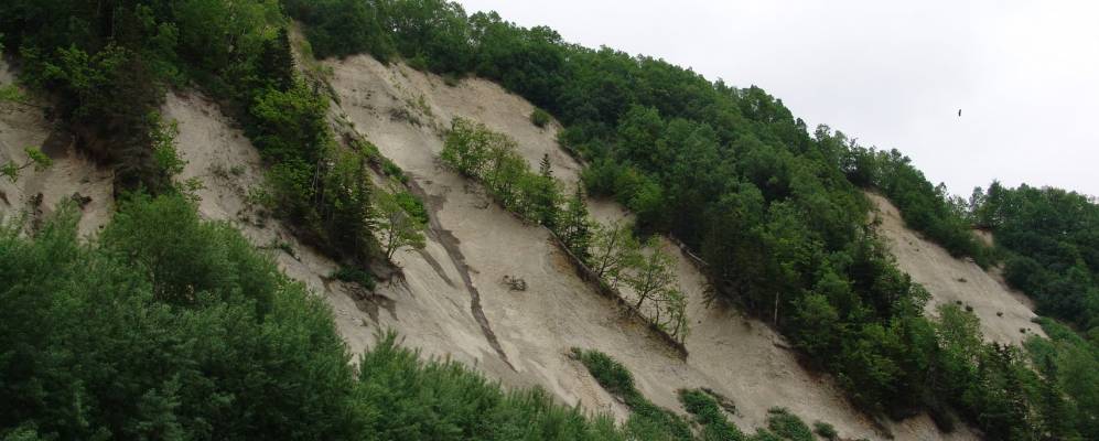 
            Фотография Пожарского