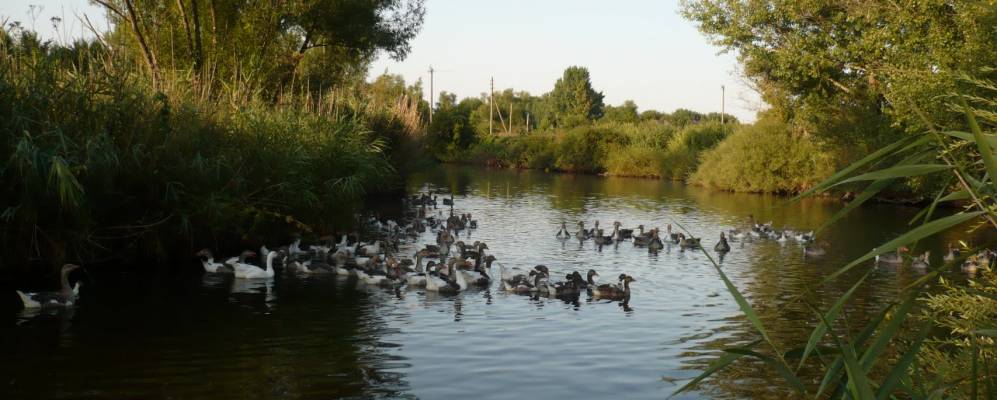 
            Фотография Будановки