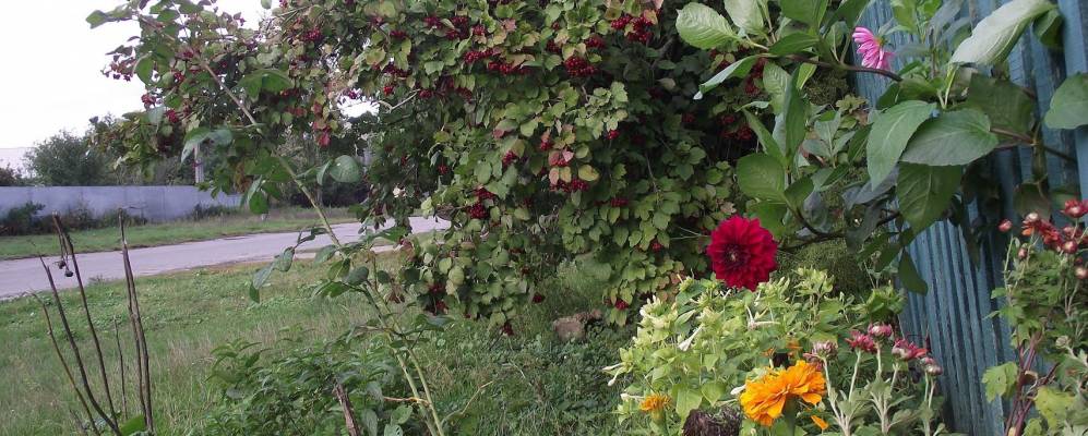 
            Фотография Михайловки