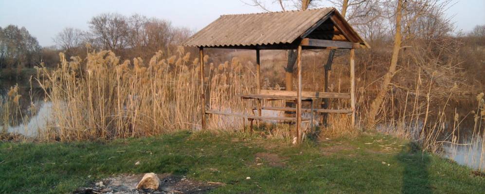 
            Фотография Приходьковки