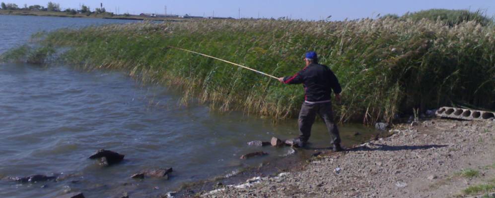
            Фотография Подлесного