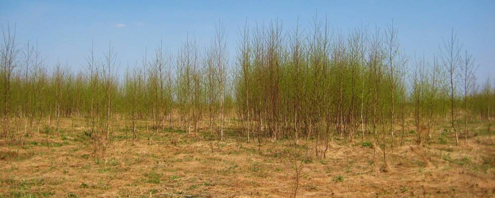 
            Фотография Красного Берега